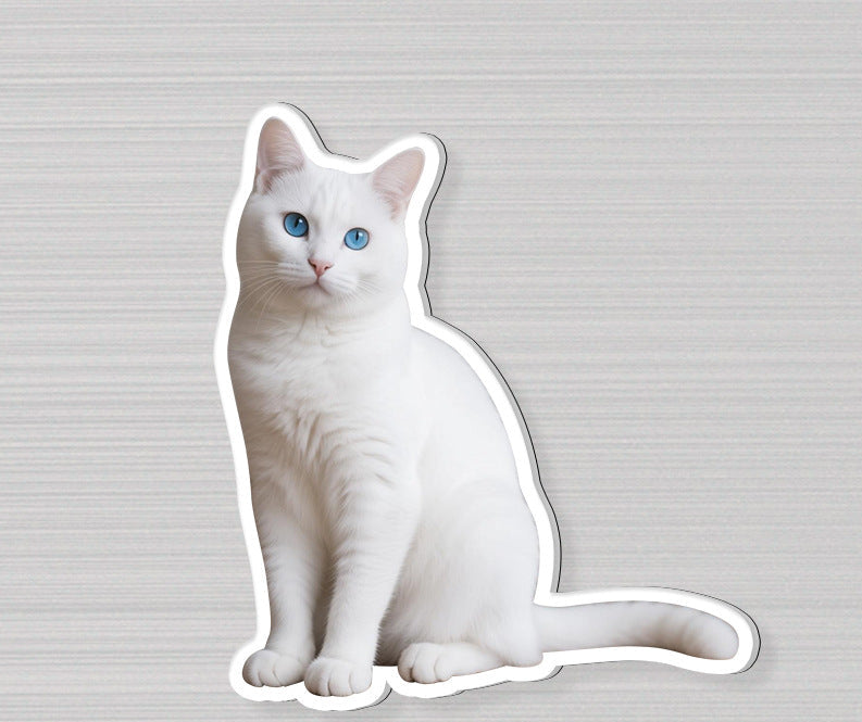 Wholesale Acrylic Pet Refrigerator Stand